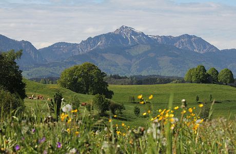 Landschaftsszenerie Chiemgau