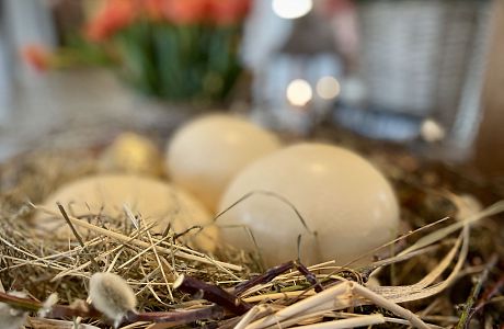 Golf Kinder- und Jugendcamp an Ostern.
