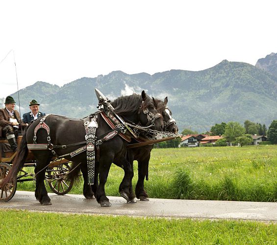 Sport und Spaß im Chiemgau